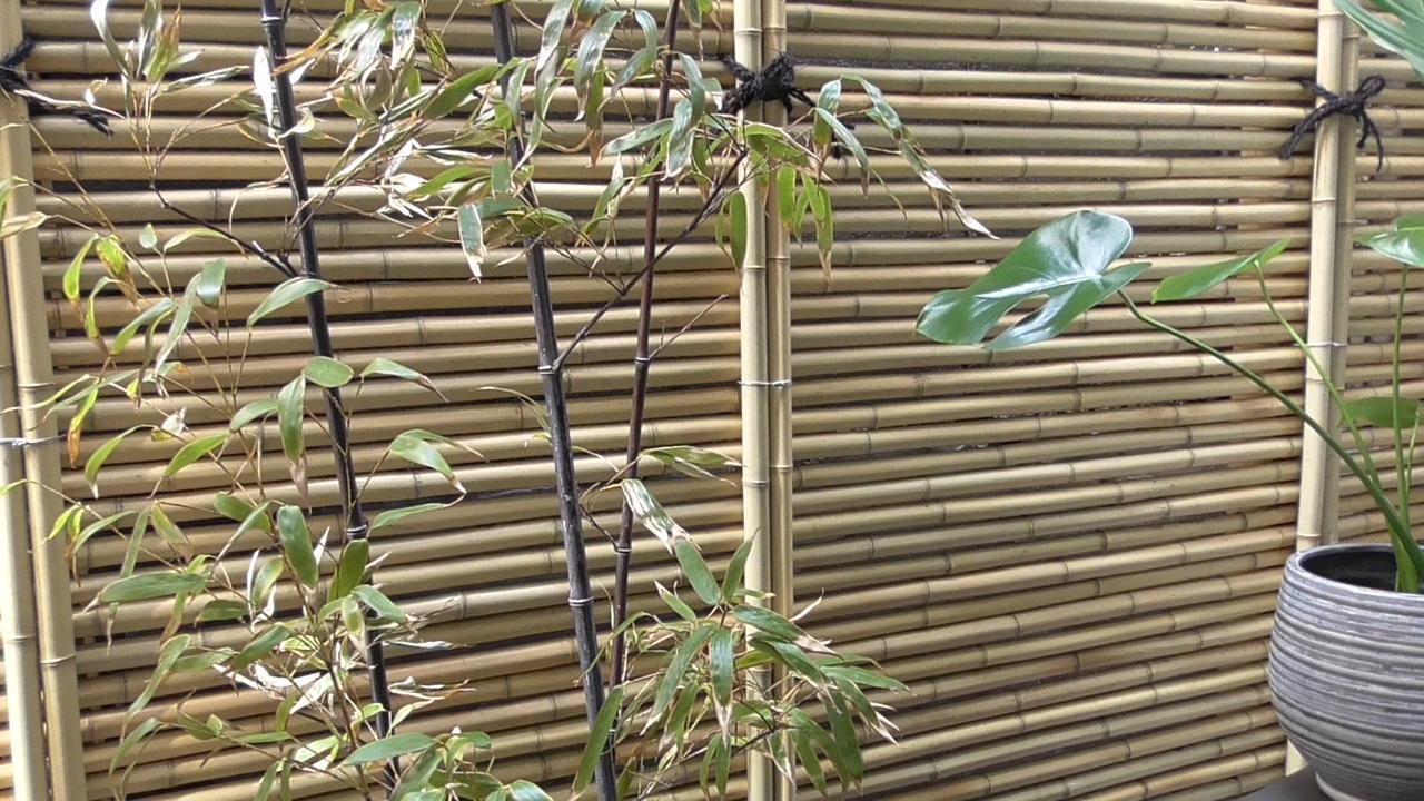 Daimaru-un Holiday home Kanazawa